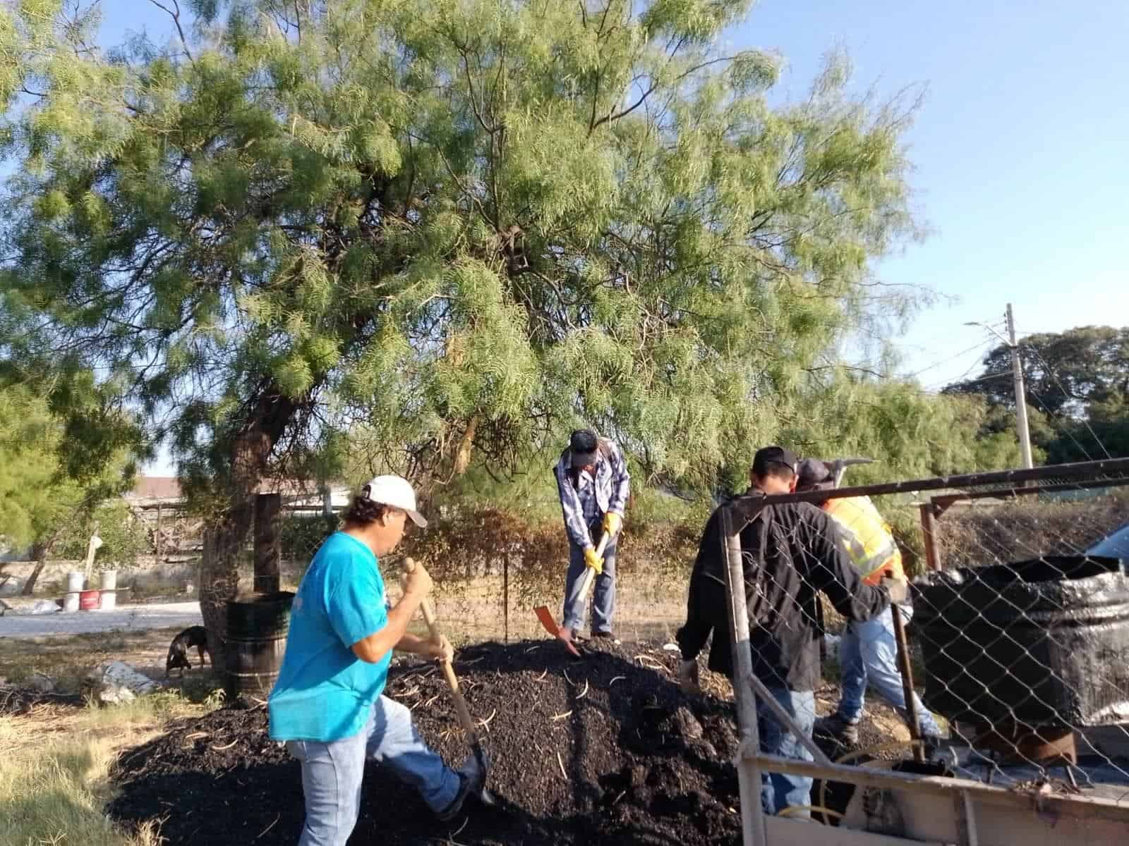 Aceleran bacheo para mejorar vialidades en delegación Venustiano Carranza