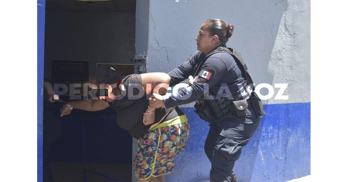 Causa destrozos en vivienda ajena