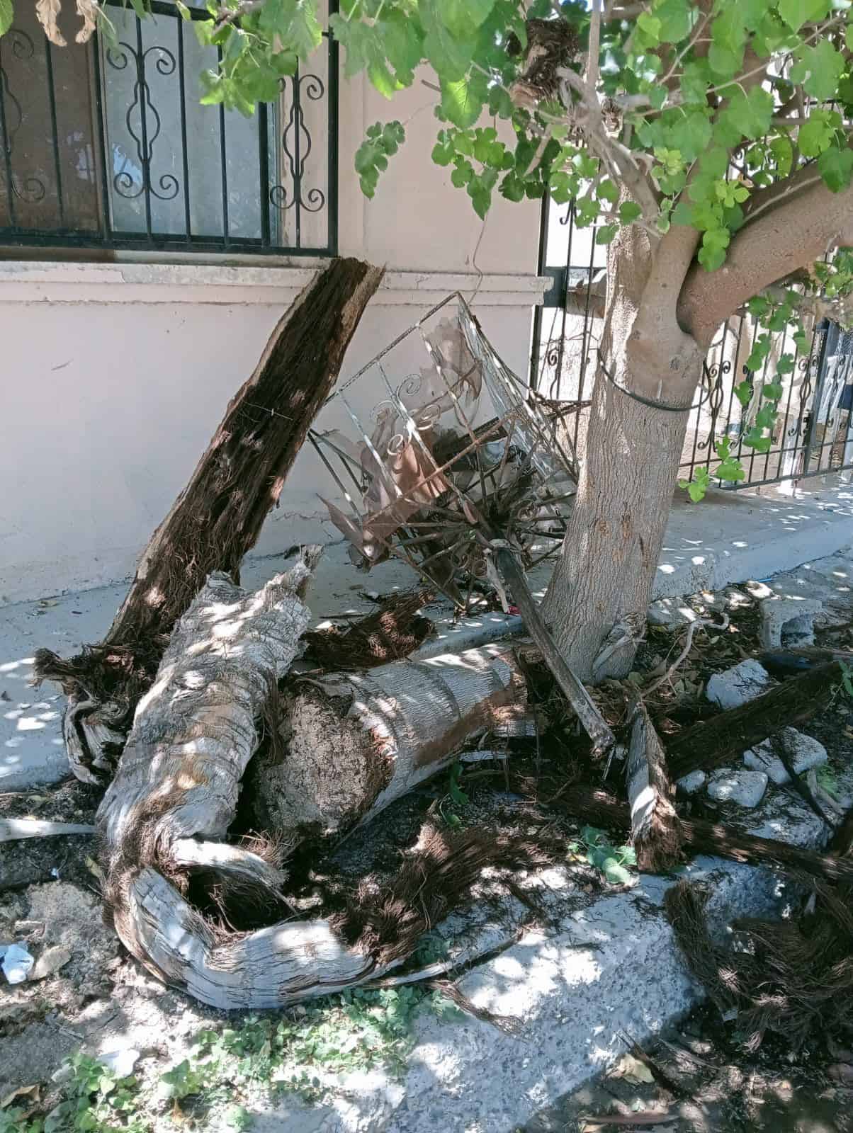 Colisión entre vehículos en la colonia Valle Verde causa daños a propiedad y vehículos