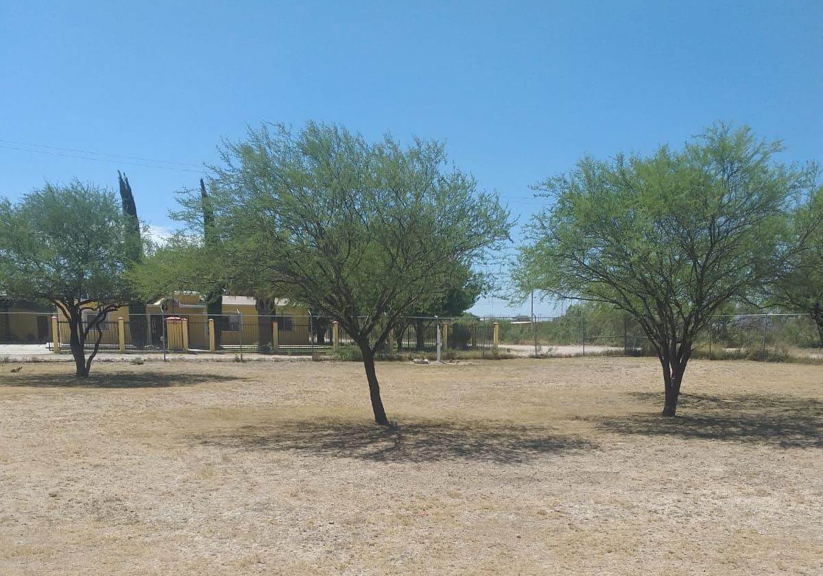 Refuerzan labores de limpieza en la capilla Sagrado Corazón de Jesús