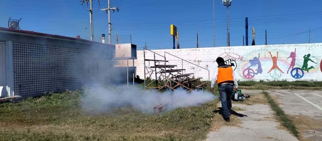 Fumigarán Planteles Educativos para Prevenir Dengue Antes del Regreso a Clases