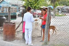 Refuerzan campaña contra el dengue en la colonia El Encino