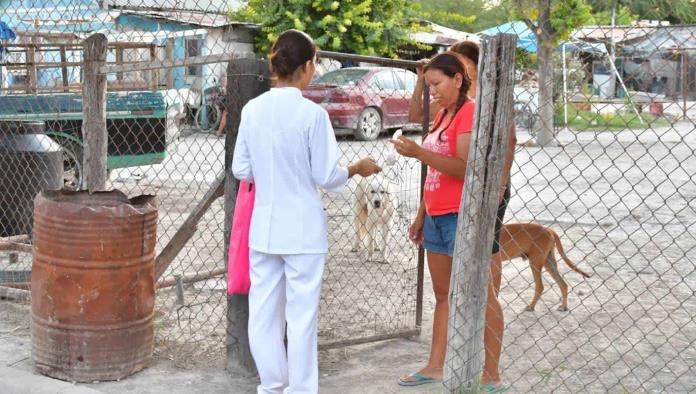 Refuerzan campaña contra el dengue en la colonia El Encino