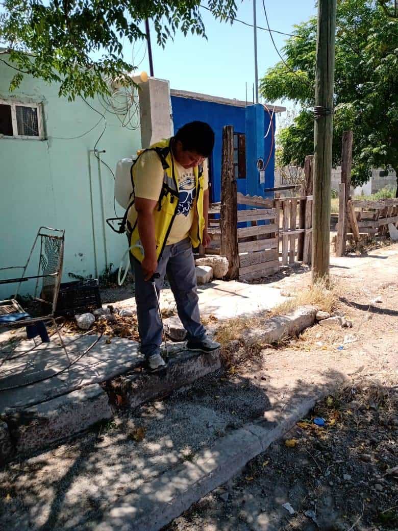 Brigadas de Salud han arreciado las acciones de fumigación para proteger a la población de brotes de dengue, zika, chikungunya o Rickettsia.