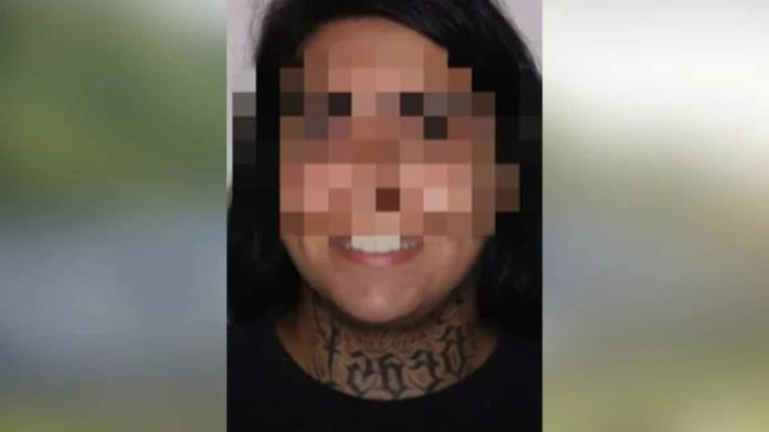 Detienen a mujer porque sus perros mataron a una enfermera Detienen a mujer porque sus perros mataron a una enfermera