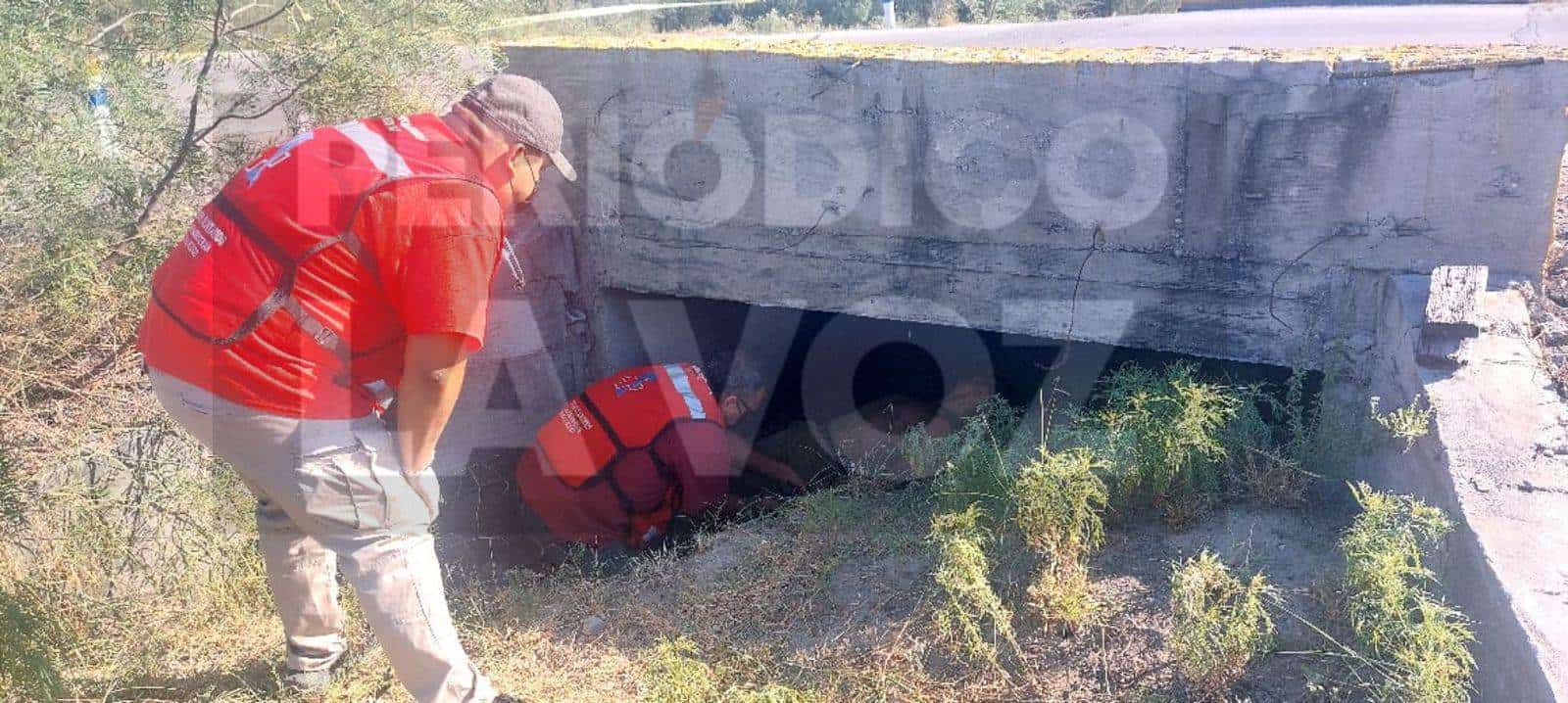 Identifican a persona localizada sin vida camino a la antigua Mina VII