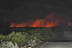 Se Registra Fuerte Incendio Forestal a Las Afueras de Zaragoza