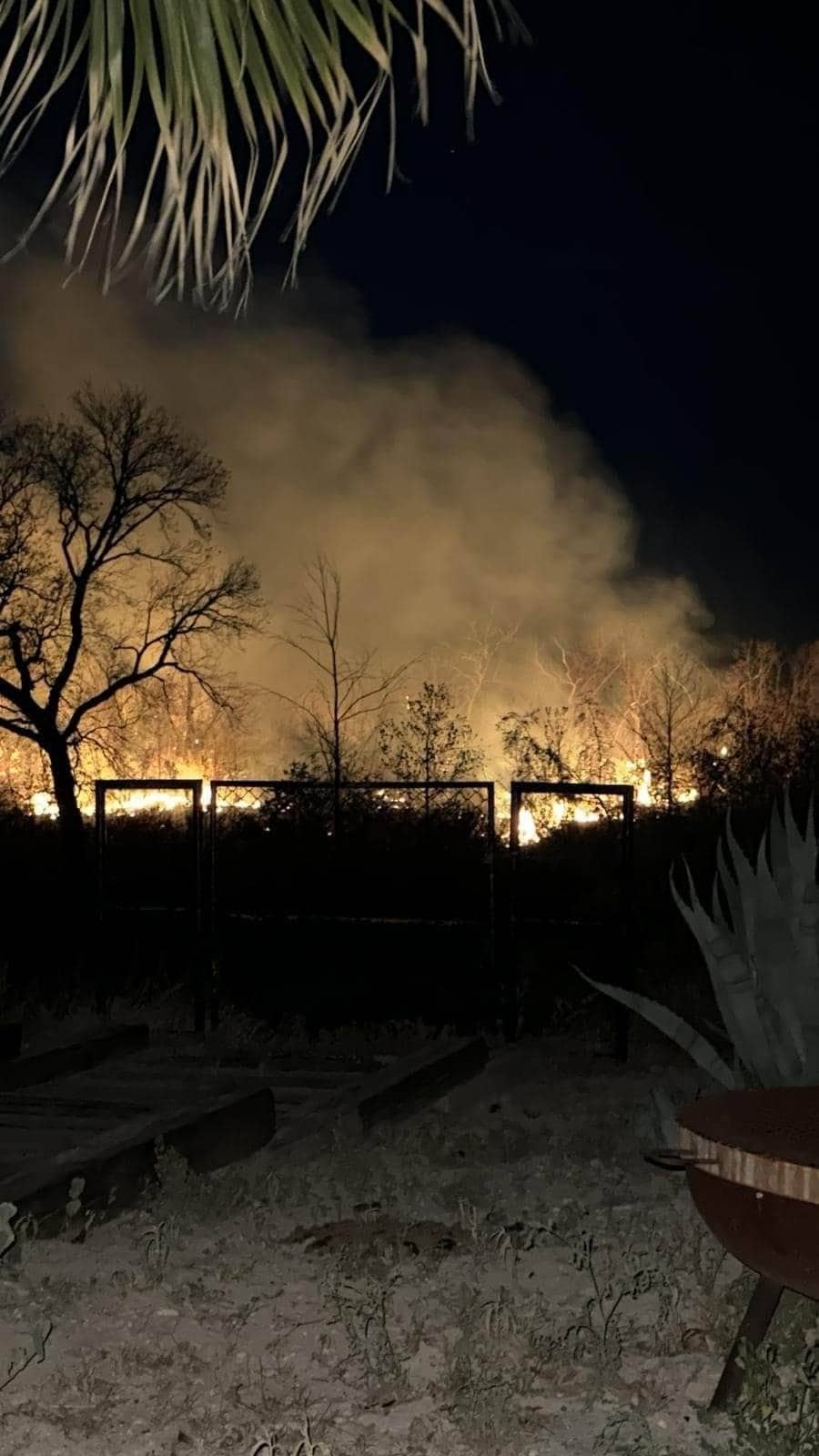 Se Registra Fuerte Incendio Forestal a Las Afueras de Zaragoza