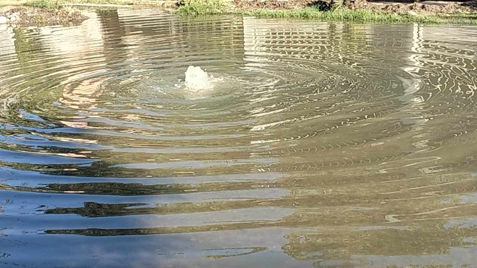 Colonia Los Espejos Enfrenta Crisis por Brote de Aguas Negras