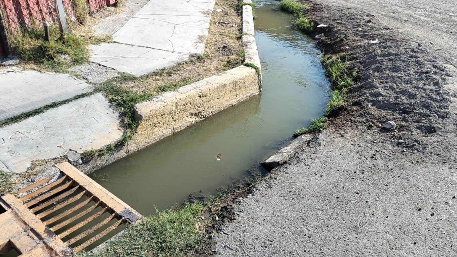 Colonia Los Espejos Enfrenta Crisis por Brote de Aguas Negras