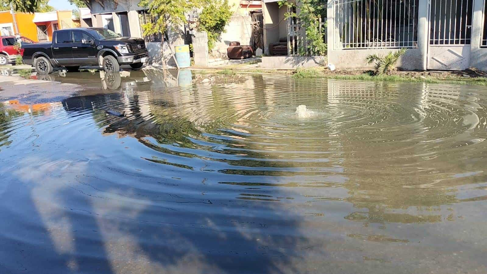 Colonia Los Espejos Enfrenta Crisis por Brote de Aguas Negras