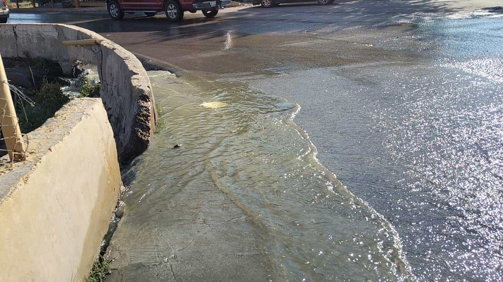 Colonia Los Espejos Enfrenta Crisis por Brote de Aguas Negras