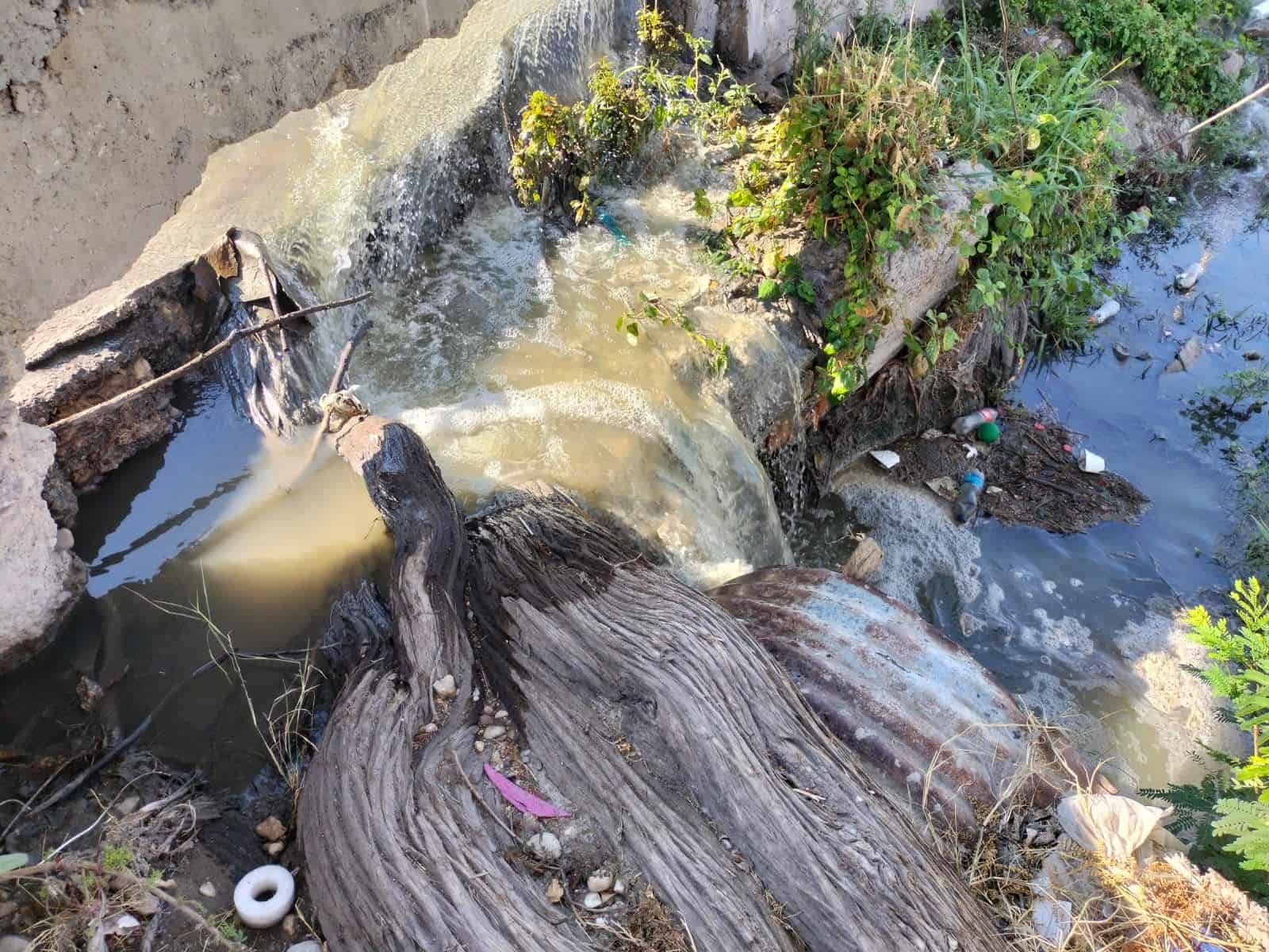 Colonia Los Espejos Enfrenta Crisis por Brote de Aguas Negras