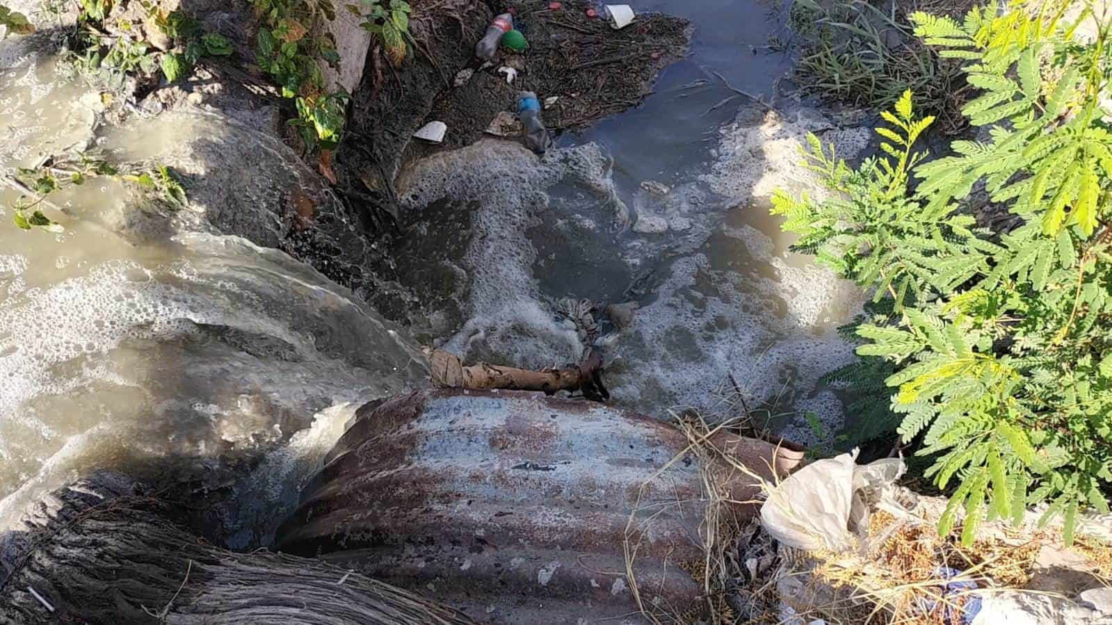 Colonia Los Espejos Enfrenta Crisis por Brote de Aguas Negras