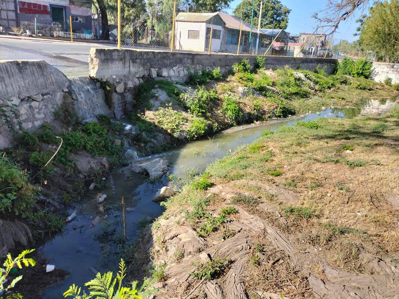 Colonia Los Espejos Enfrenta Crisis por Brote de Aguas Negras