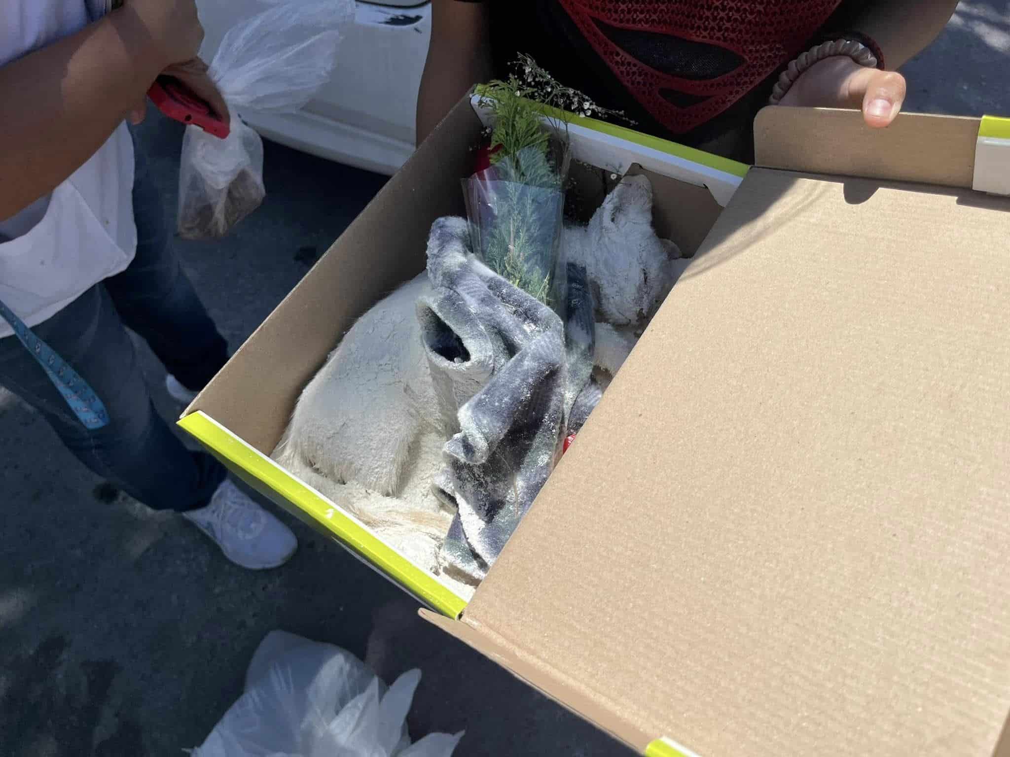 En Manantiales se acusó a un sujeto apodado “El Brujo” de envenenar a mascotas.