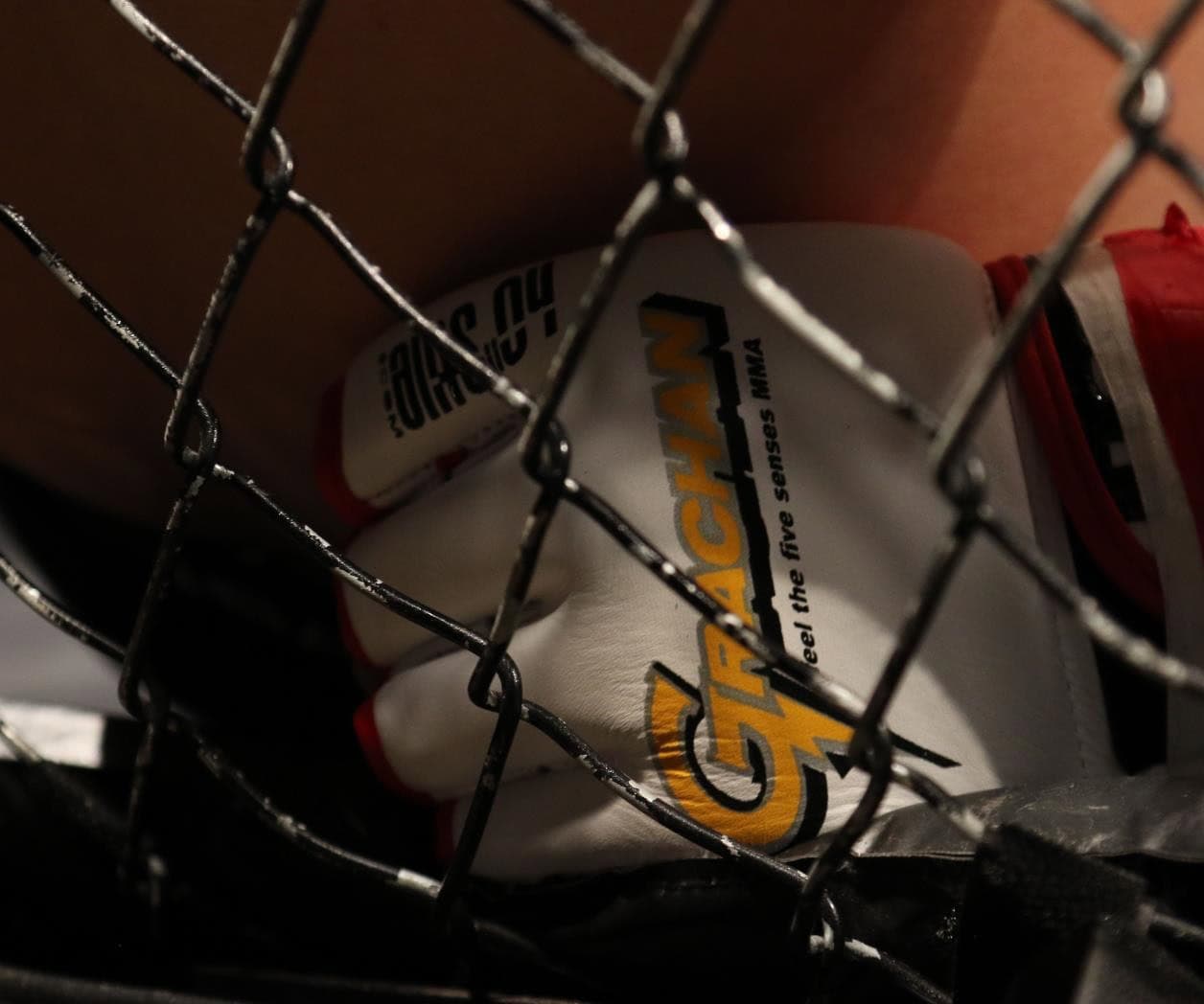 Talibanes prohíben el MMA en Afganistán