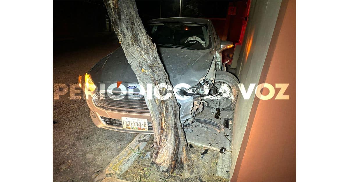 Abandona automóvil incrustado en árbol