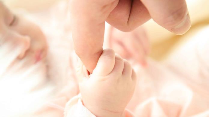 Donald Trump promote inseminación artificial gratuita Donald Trump promote inseminación artificial gratuita