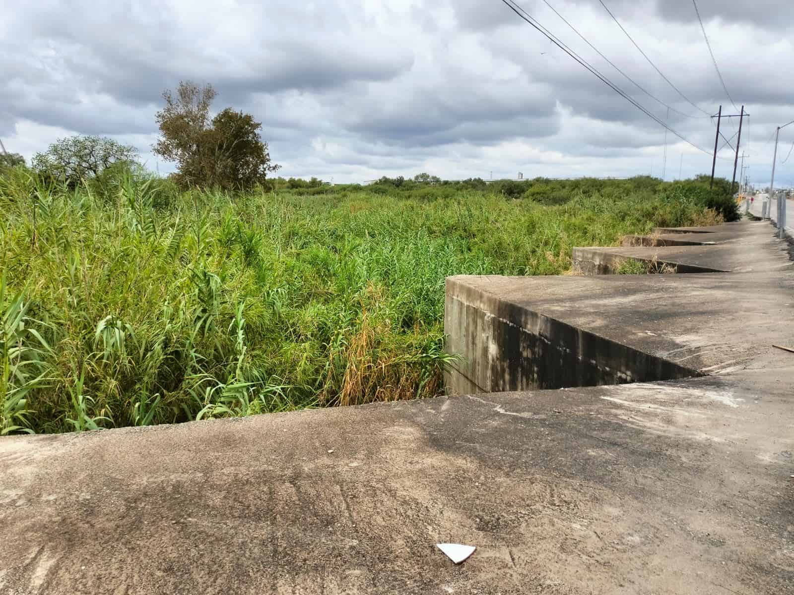 Laguito Mexicano EN EL OLVIDO