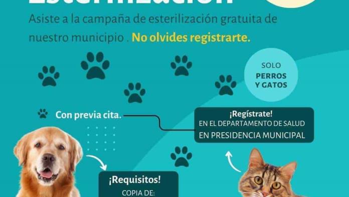 Impulsa San Buena esterilización