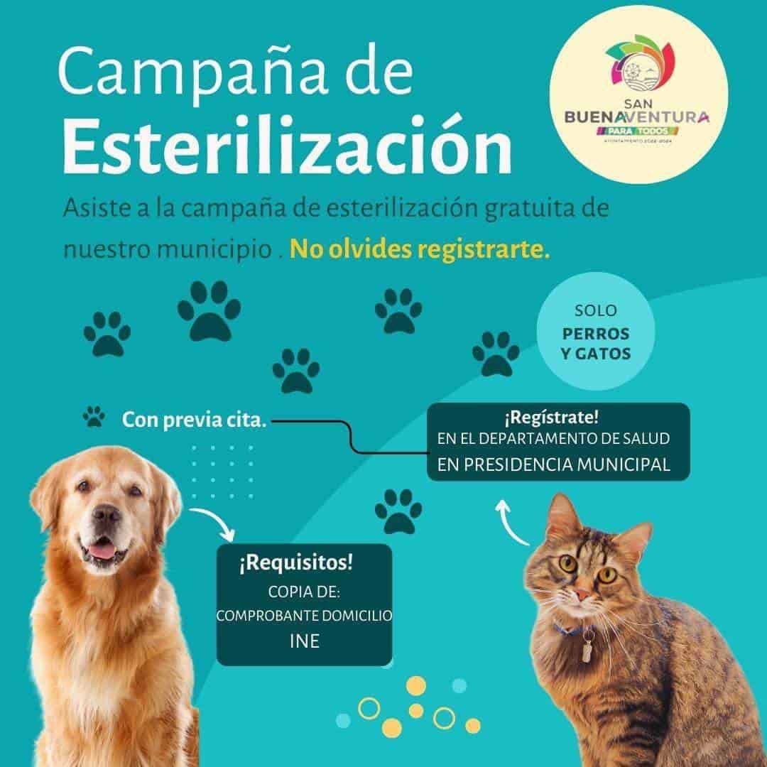 Impulsa San Buena esterilización