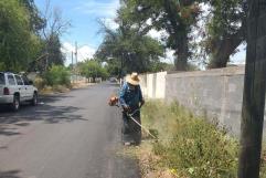 Mejora del Tránsito en Nava: Poda de Árboles y Mantenimiento de Espacios Públicos