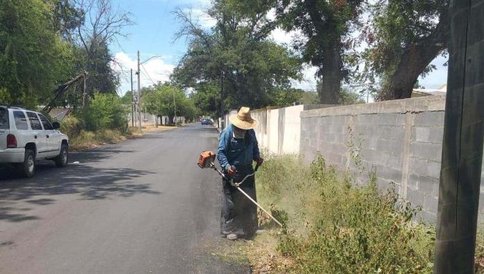 Mejora del Tránsito en Nava: Poda de Árboles y Mantenimiento de Espacios Públicos