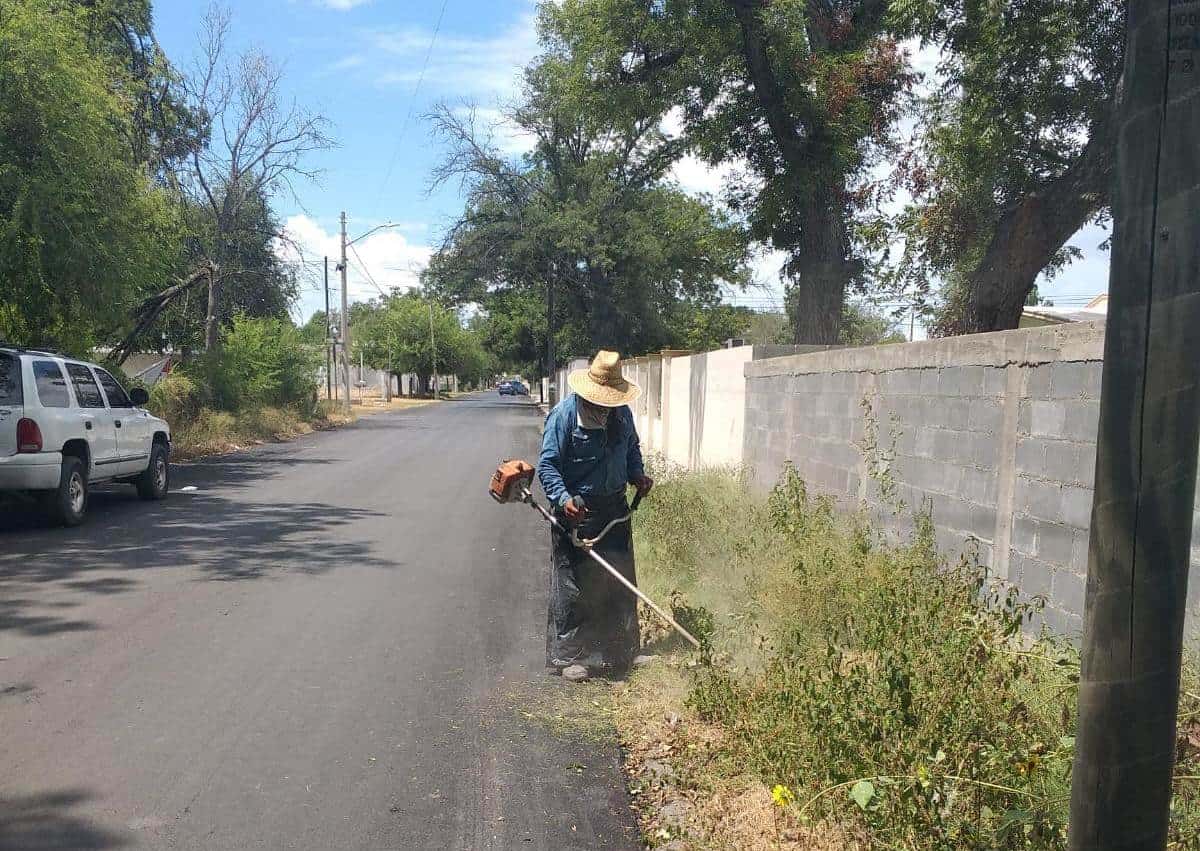 Mejora del Tránsito en Nava: Poda de Árboles y Mantenimiento de Espacios Públicos