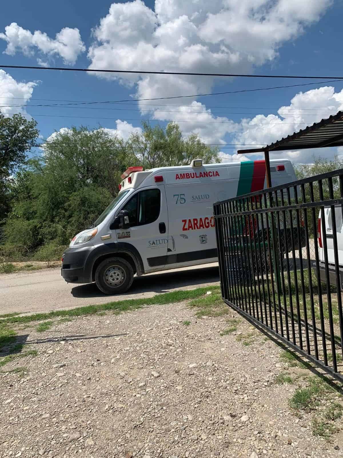 Bomberos de Zaragoza Salvan a Felino en Situación de Riesgo