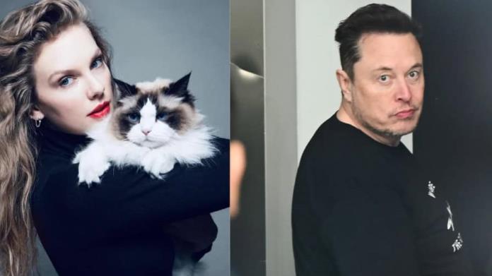 Elon Musk amenaza a Taylor Swift con «darle un hijo» Elon Musk amenaza a Taylor Swift con «darle un hijo»