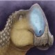 Coahuila tiene un nuevo dinosaurio; Coahuilasaurus lipani