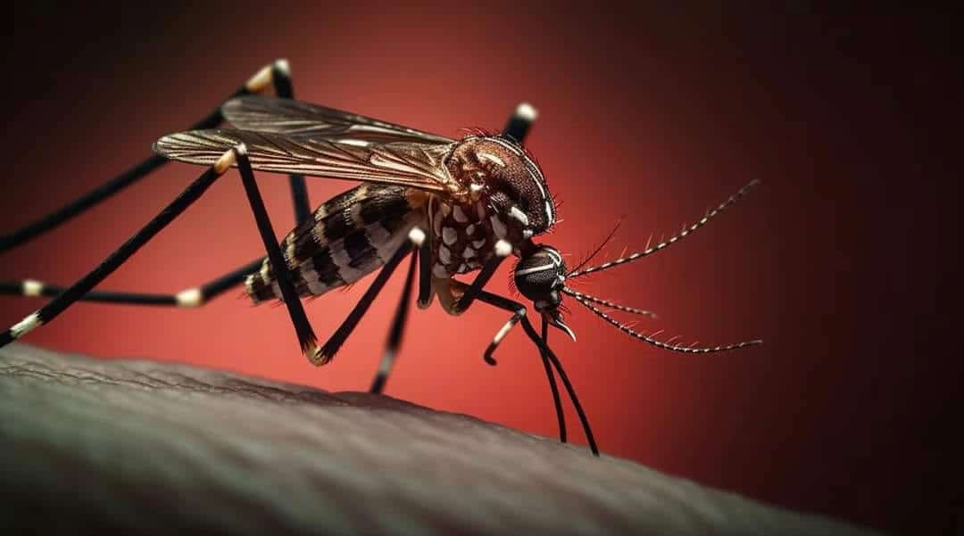 ALARMANTE: 14 Casos de Dengue en Piedras Negras