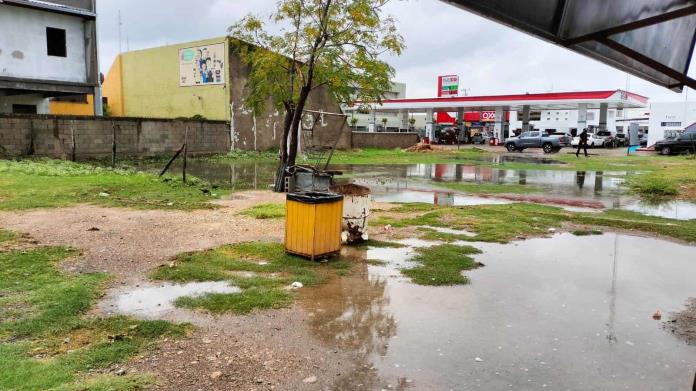 ALARMANTE: 14 Casos de Dengue en Piedras Negras ALARMANTE: 14 Casos de Dengue en Piedras Negras