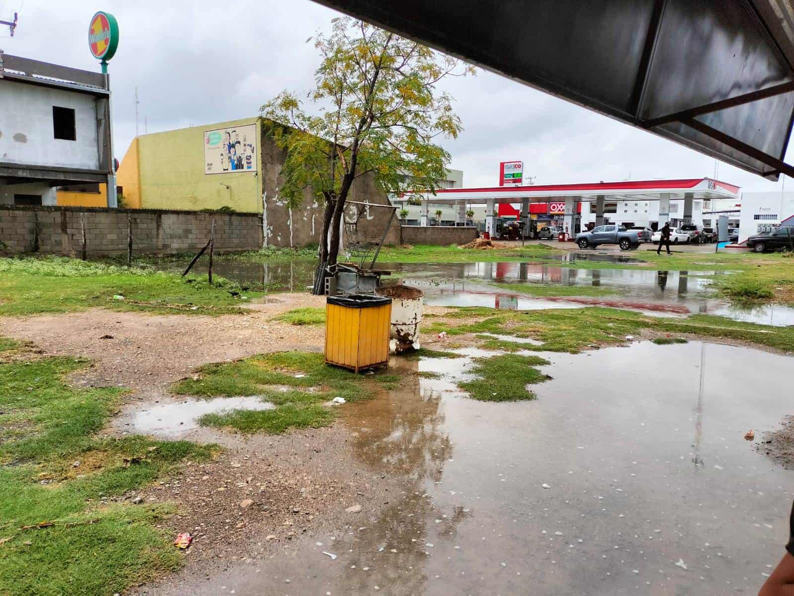 ALARMANTE: 14 Casos de Dengue en Piedras Negras