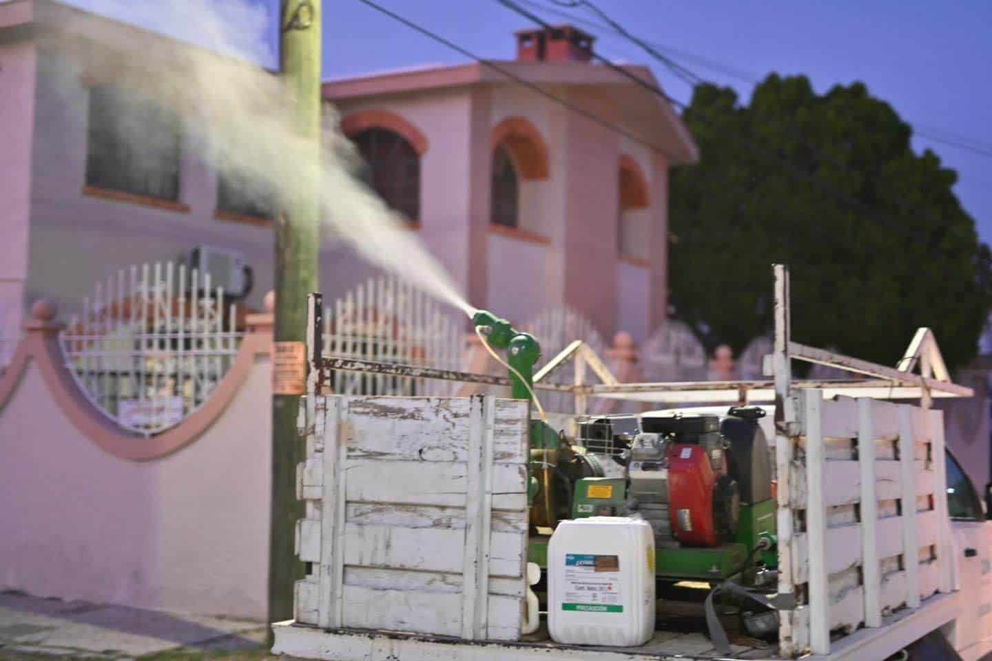 Intensifican Fumigación para Combatir Aparición de Mosquitos Tras las Lluvias