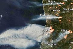 Incendios forestales en Portugal cobran la vida de 7 personas