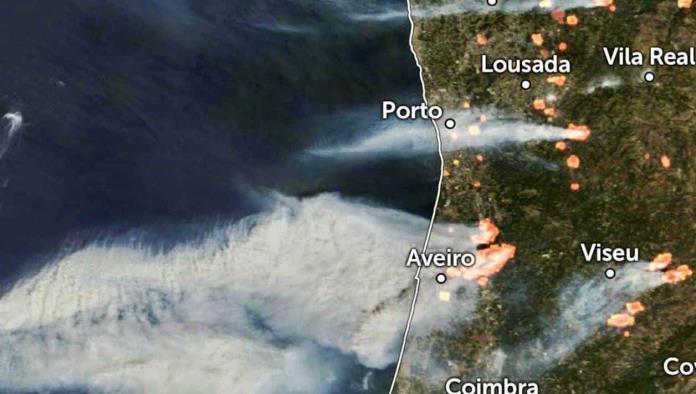 Incendios forestales en Portugal cobran la vida de 7 personas