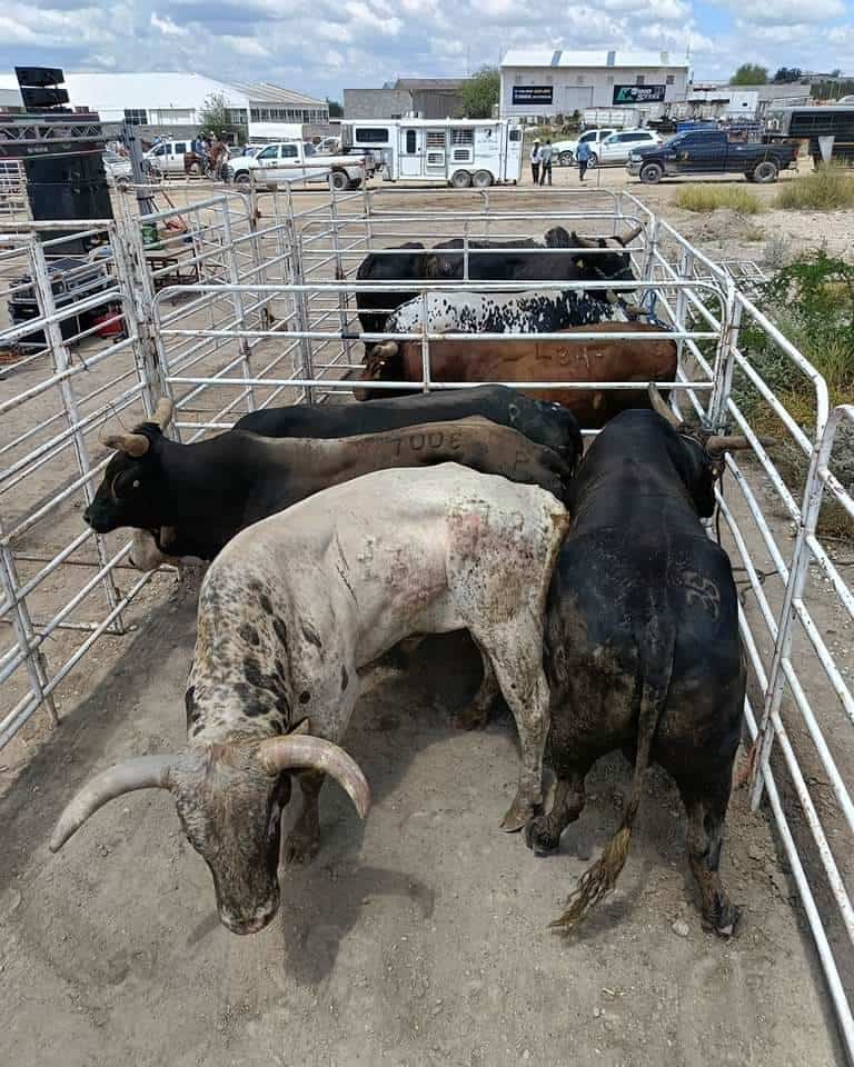 Estadio 123 se prepara para Rodeo: Batalla de la Frontera 2024