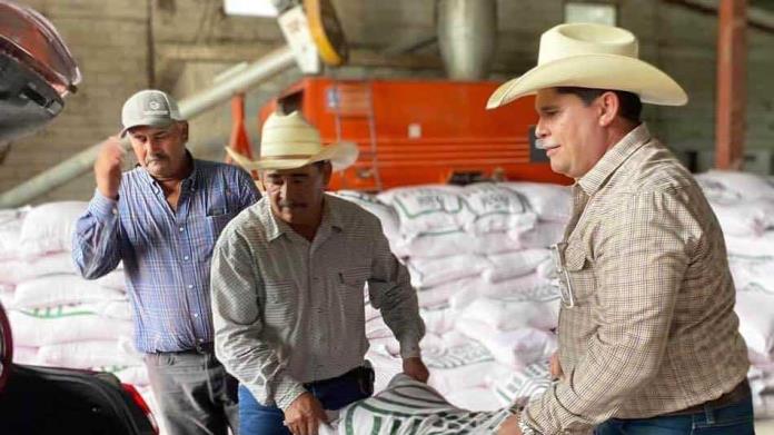 Entregan 14 toneladas de semilla de avena a bajo costo para apoyar a agricultores