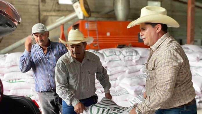 Entregan 14 toneladas de semilla de avena a bajo costo para apoyar a agricultores