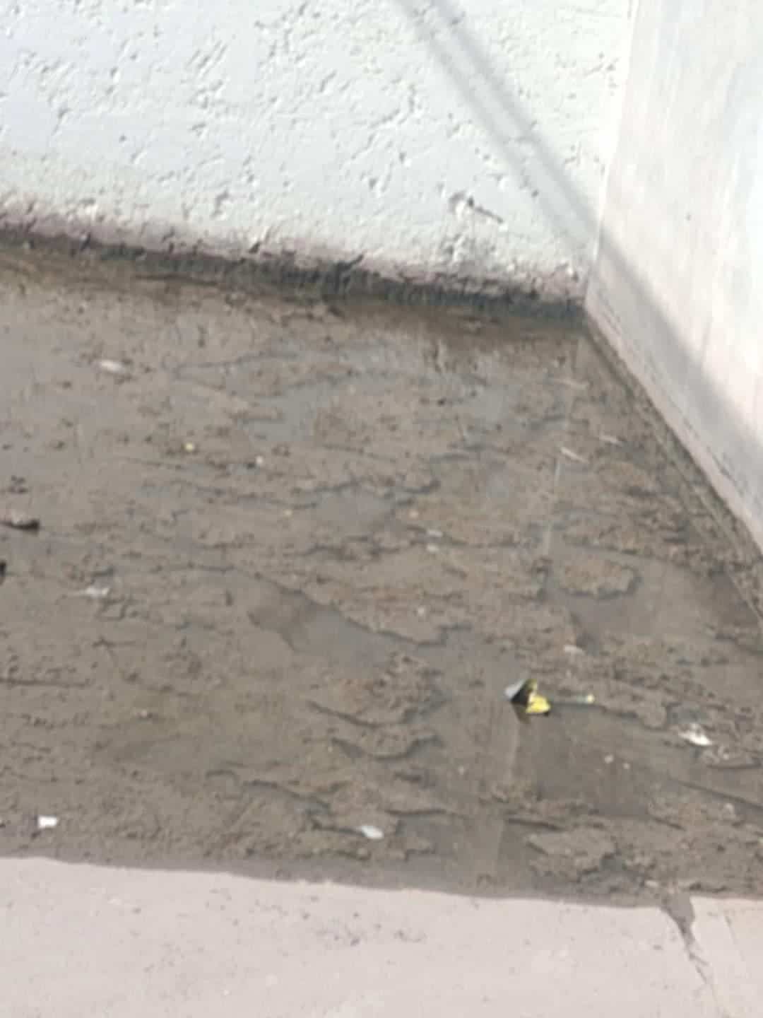 Alerta Sanitaria en Piedras Negras: 21 Casos de Dengue Reportados