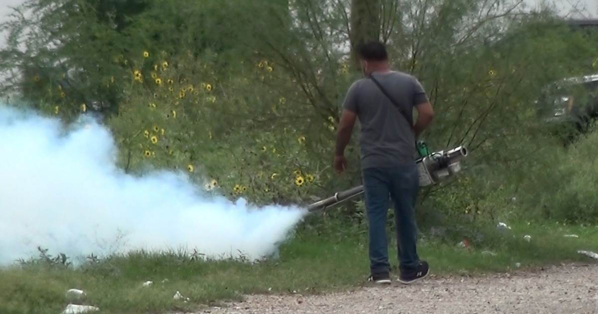 Alerta Sanitaria en los Cinco Manantiales: Aumento de Casos de Dengue