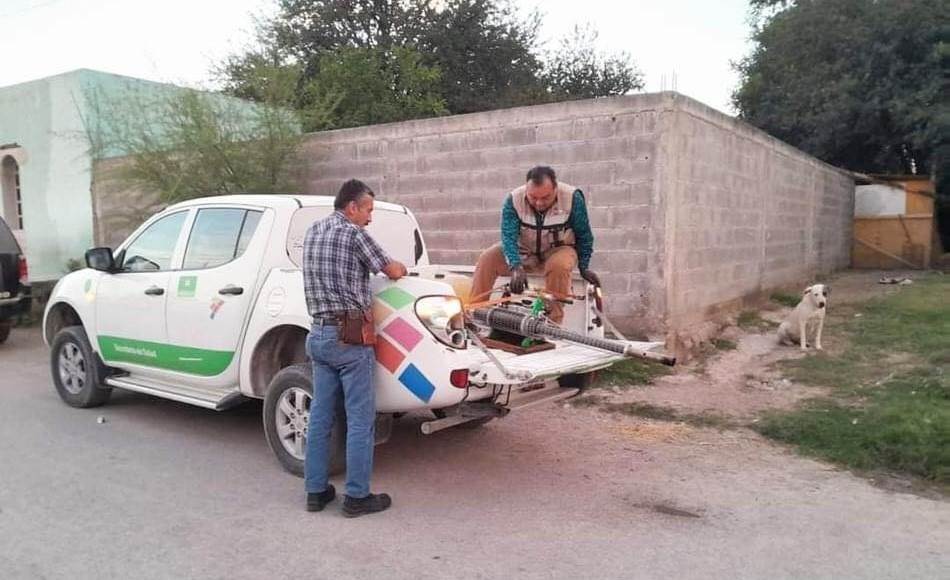 Alerta Sanitaria en los Cinco Manantiales: Aumento de Casos de Dengue