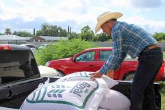 Entregan semilla de avena subsidiada a productores del campo