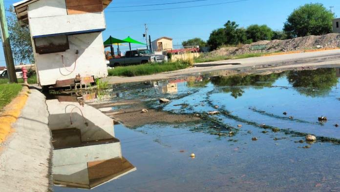 Viven Entre Agua Encharcada en Las Argentinas