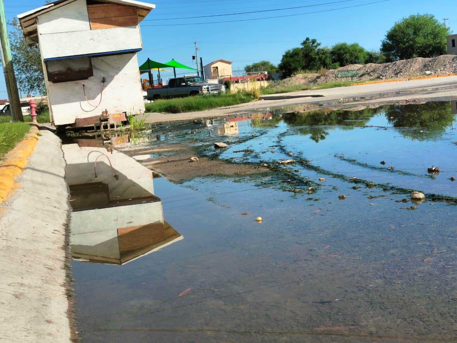 Viven Entre Agua Encharcada en Las Argentinas