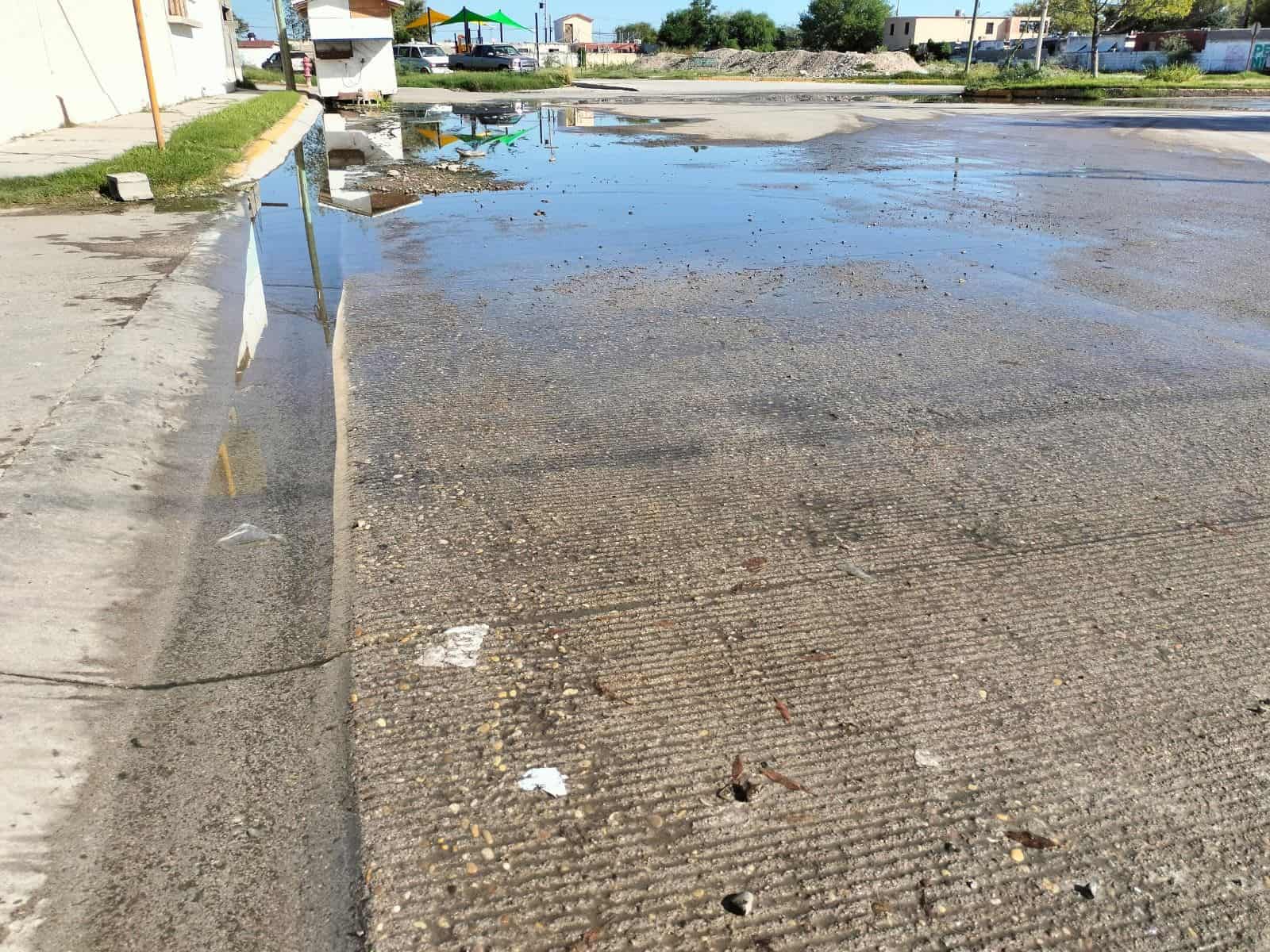 Viven Entre Agua Encharcada en Las Argentinas