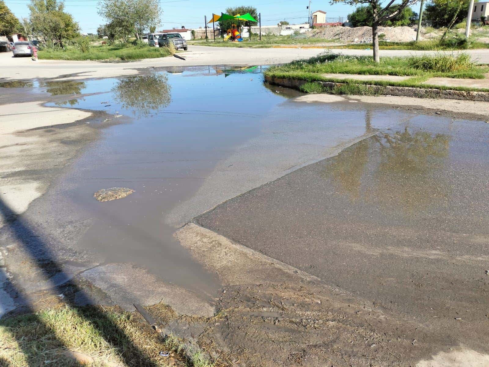 Viven Entre Agua Encharcada en Las Argentinas