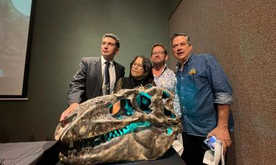 Presentan a nuevo integrantes de la familia de tiranosaurio